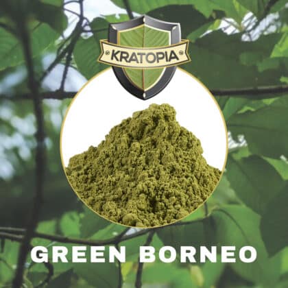 Conteúdo do Green Borneo Kratopia