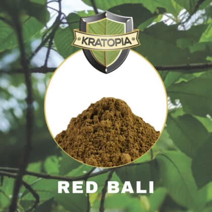 Vermelho Bali Kratom conteúdo Kratopia