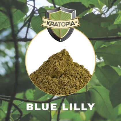 Blue Lilly Kratom inhoud Kratopia