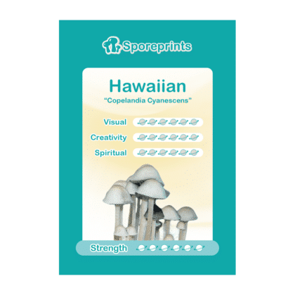 Hawaiian Sporenabdruck 2