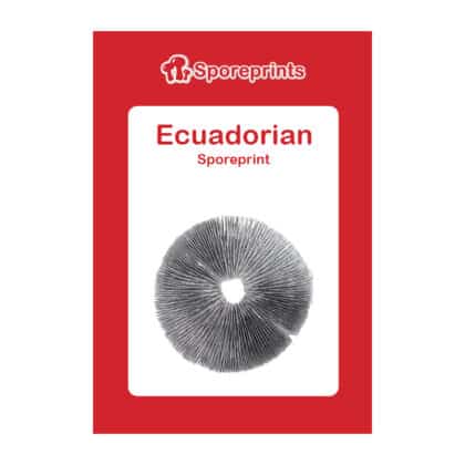 Ecuadorian Spora 1