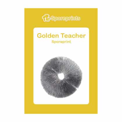 Golden Teacher Sporeprint 1