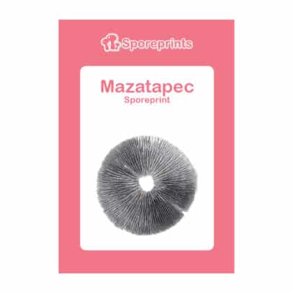 Sporeprint Mazatapec 1