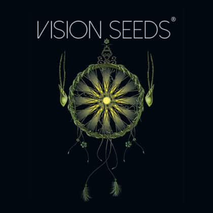 Vision Seeds